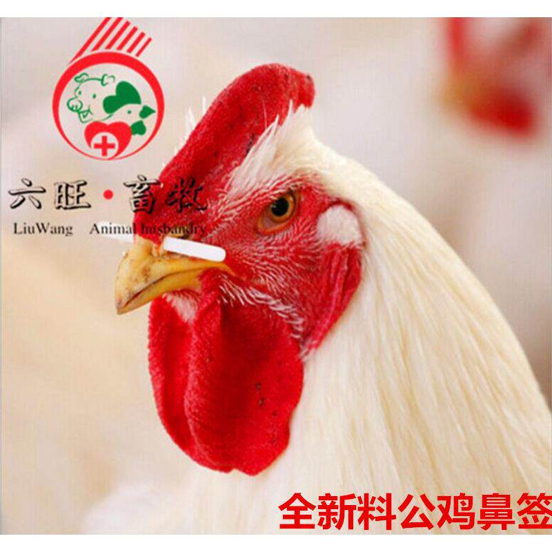 包邮公鸡鼻签鸡鼻梁鸡鼻骨鼻梁签防抢食阻食棒