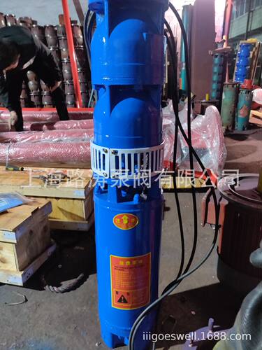 供应250QJ160-30/2潜水电泵/22KW喷泉泵/380V井用潜水电泵
