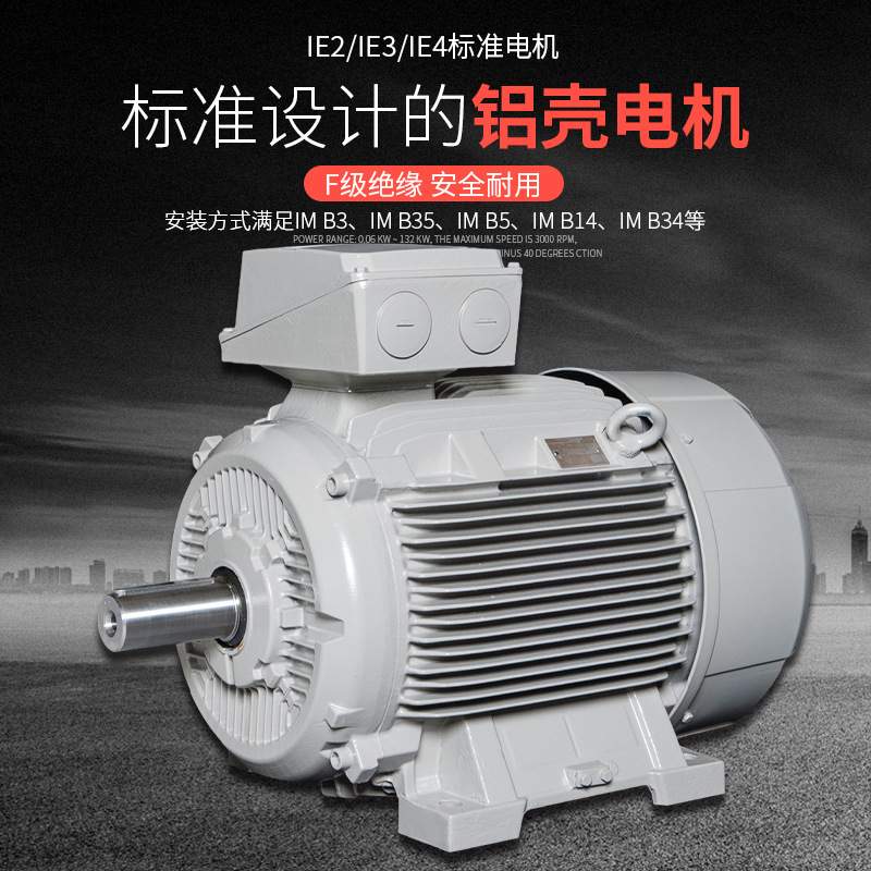 德国LAMMERS三相异步感应电动机1TZ9503系列18.5KW 1TZ9系列