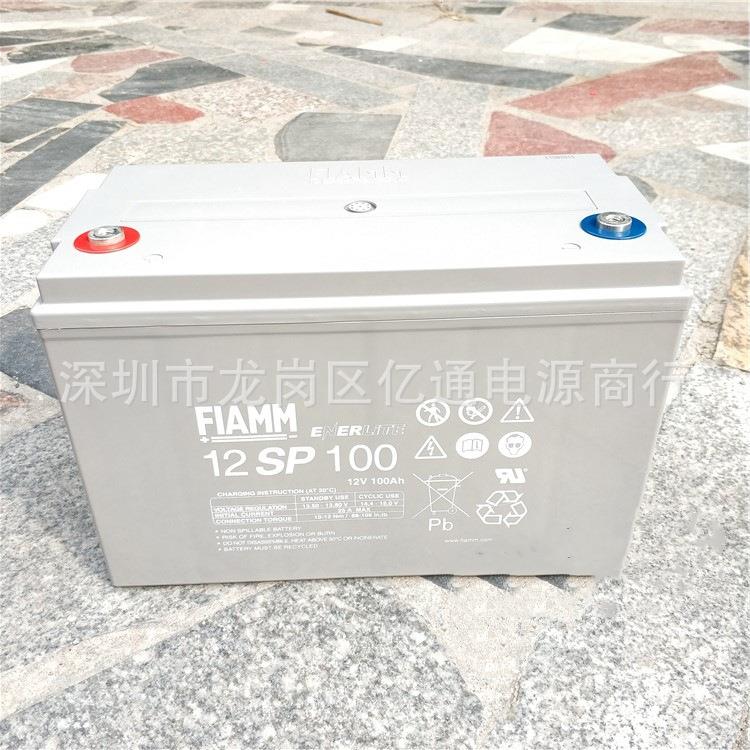 FIAMM非凡铅酸蓄电池12SP100免维护12V100Ah通讯机房质保三年
