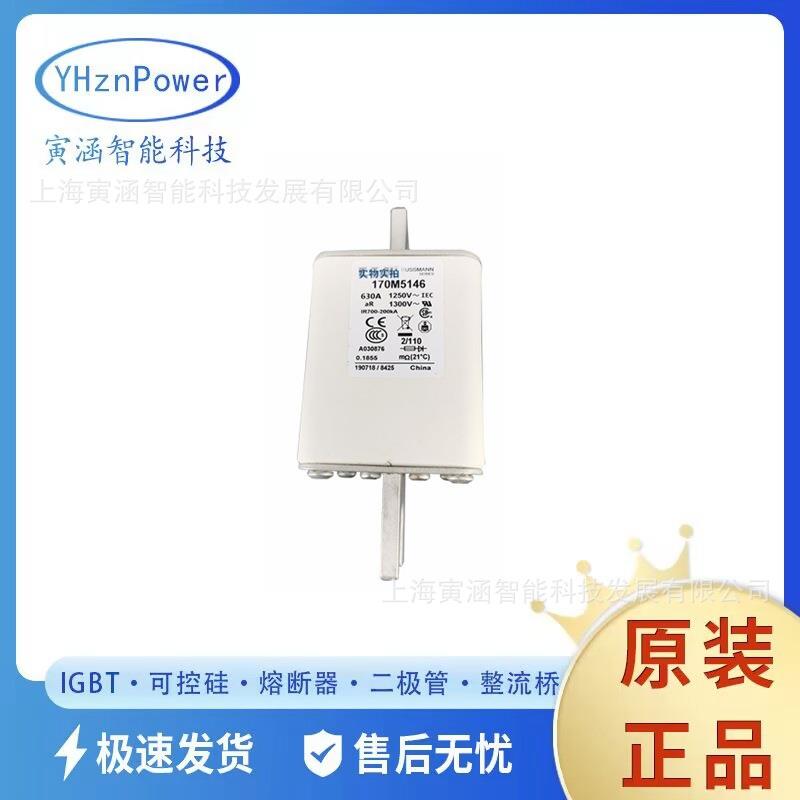 销售型号170M5146630A1250V高压跌开式熔断器/保险丝/底座