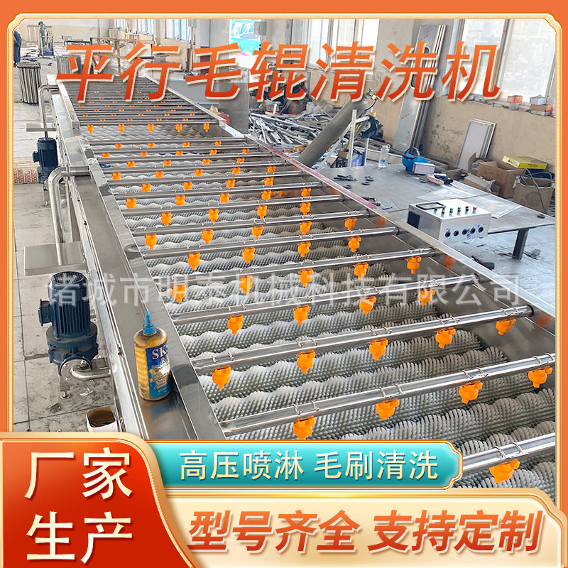 金桔平行毛辊清洗机 葡萄柚大枣大型清洗风干线 柠檬沃柑洗果机