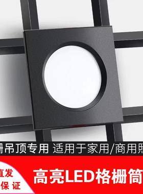 led格栅灯15x15铝网格吊顶灯单双头10x20黑色葡萄架专用方形筒灯