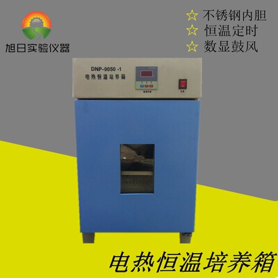 DHP-9160电热恒温培养箱 实验室培养箱 恒温培养箱 微生物培养箱