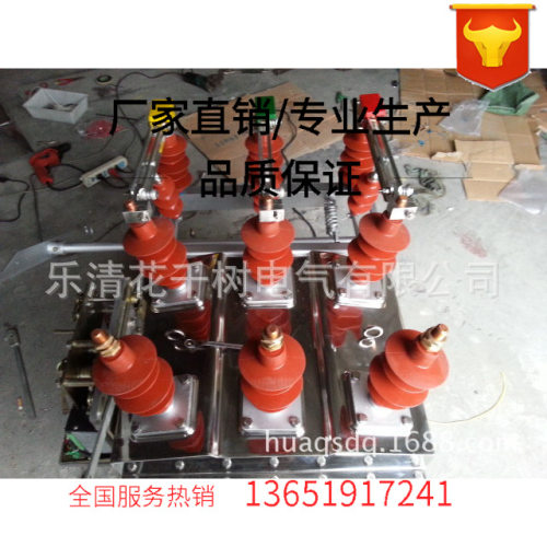 ZW8-12G/630-20-ZW8-12G/630-25高压真空断路器 高压断路器