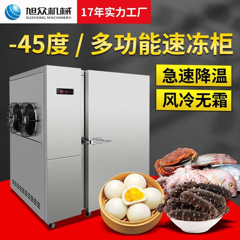 双门单门速冻柜包子饺子油条汤圆推车式急冻速冻柜