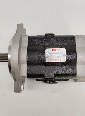 柳工3.5T电车液压齿轮油泵岛津DSG05C25F9H1-R019C