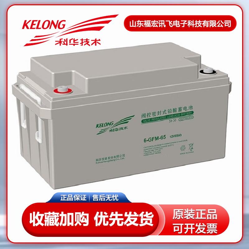 科华蓄电池6GFM-100铅酸免维护12V100AH直流屏UPS电源65AH储能