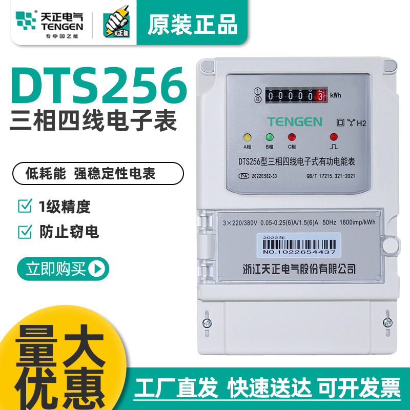 浙江天正电气电子式电能表DTS256/DSS256型三相四线单相