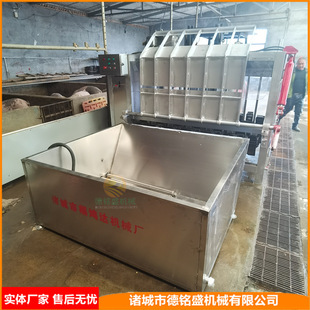 实用性强的抛猪毛设备 整猪自动化打毛机 牲畜类猪牛羊驴打毛机