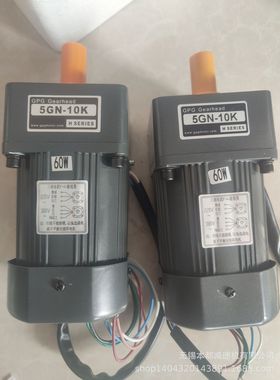 南昌GPG小型电机  CH22-100-100S CV22-100-100S