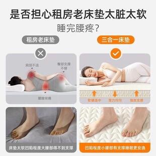 床垫软垫.m双人垫家用卧室榻榻米加厚铺底可折叠出租屋回弹