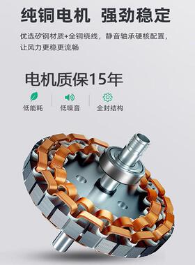 热款客厅LE销D风扇灯FTP卧室智能遥控110V餐吊厅扇灯中山工厂