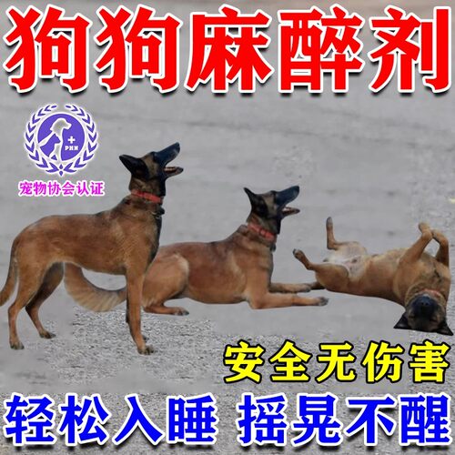 狗狗麻醉镇定剂快速睡眠强力安抚情绪剂剪指甲洗澡救助宠物镇静剂