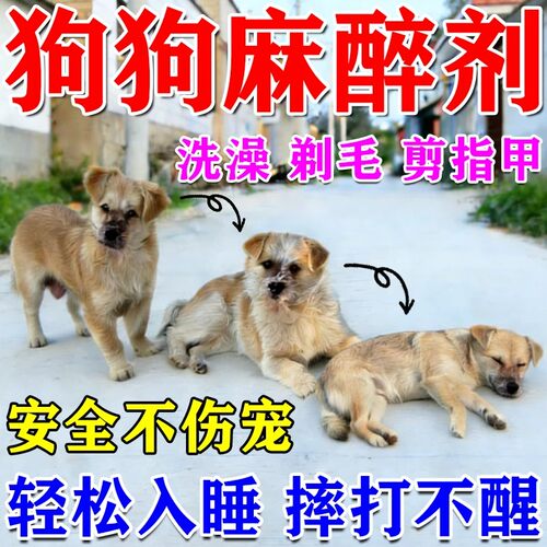 狗狗麻醉镇定剂快速睡眠强力安抚情绪剂剪指甲洗澡救助宠物镇静剂