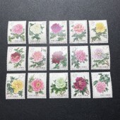 回流胶润特61牡丹原胶全品相胶非常润 老纪特六珍