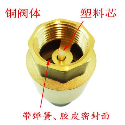 极速钢丝滤网井底止回阀水泵逆止阀铜底阀自吸泵进水防倒流带弹簧
