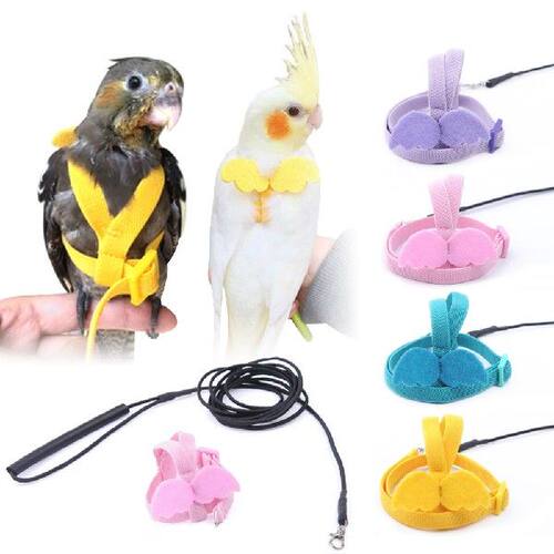 好货1 Piece Parrot Bird Harness Leash Set Adjustable Parrots