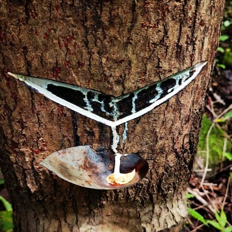 天然生漆土漆精细过滤野生漆树采割土漆优质纯正生漆