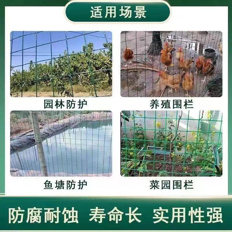 。包塑铁丝网围栏养鸡网拦鸡网养殖网栅栏护栏果园防护网隔离铁网