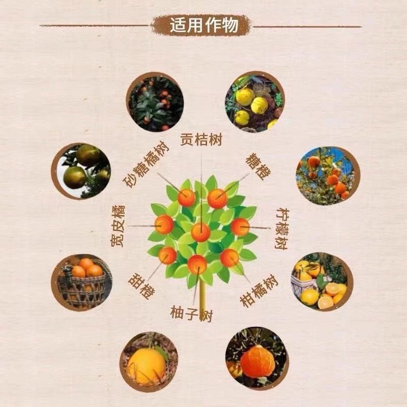 黄龙病ROS ros黄龙病黄化 ROS一217溶水不堵柑橘柚子ROS输液