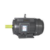 衡水电机YE3 8极1.5 110W高效三相异步电动机国标全铜线圈电机