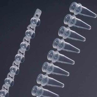 0.2ML 巴罗克 PCR八联管 无酶无热源 透明 凸盖 0008