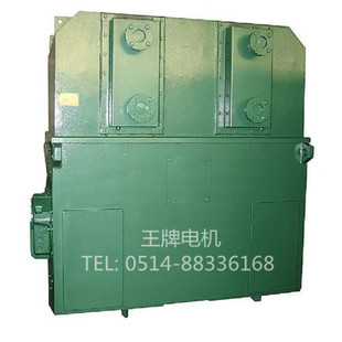 电机厂家供应厂家YKS5003-2 900KW 10KV高压电机
