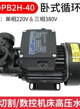 线切割中走丝洛凯Rocoi循环高压水泵LDPB2H-40-TP雕铣机Luika全铜