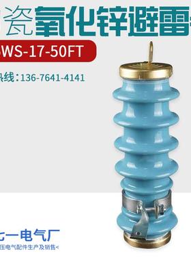 中压氧化锌新型蓝色陶瓷避雷器Y5WS-17/50FT广东型防雷器12KV户外