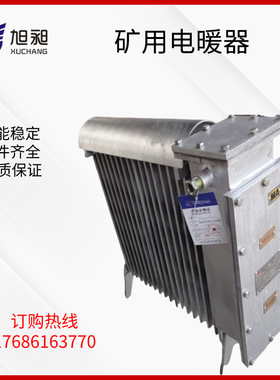 煤矿隔爆兼增安型电热取暖器RB-2000/127(A) 井下避难硐室电暖器