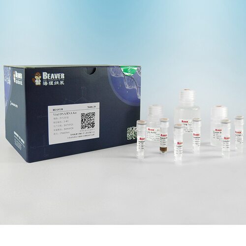 海狸Beaver羧基磁珠(2μm)5 mL, 10 mg/mL, 2 μm，货号：70102-5
