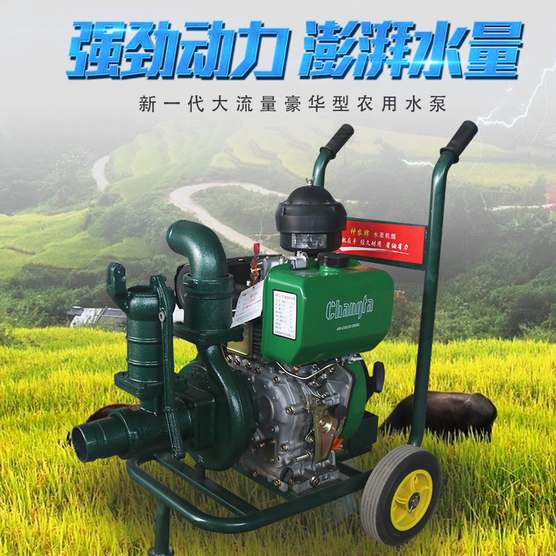 柴油机一体水泵195家用浇地农田灌溉抽水柴油抽水泵自吸强排泵