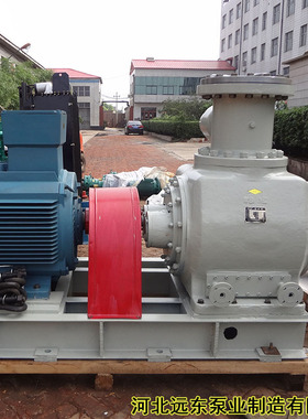 W5.1ZK-65Z1M1W73双螺杆泵用于输送差别化粘胶短纤维机械密封