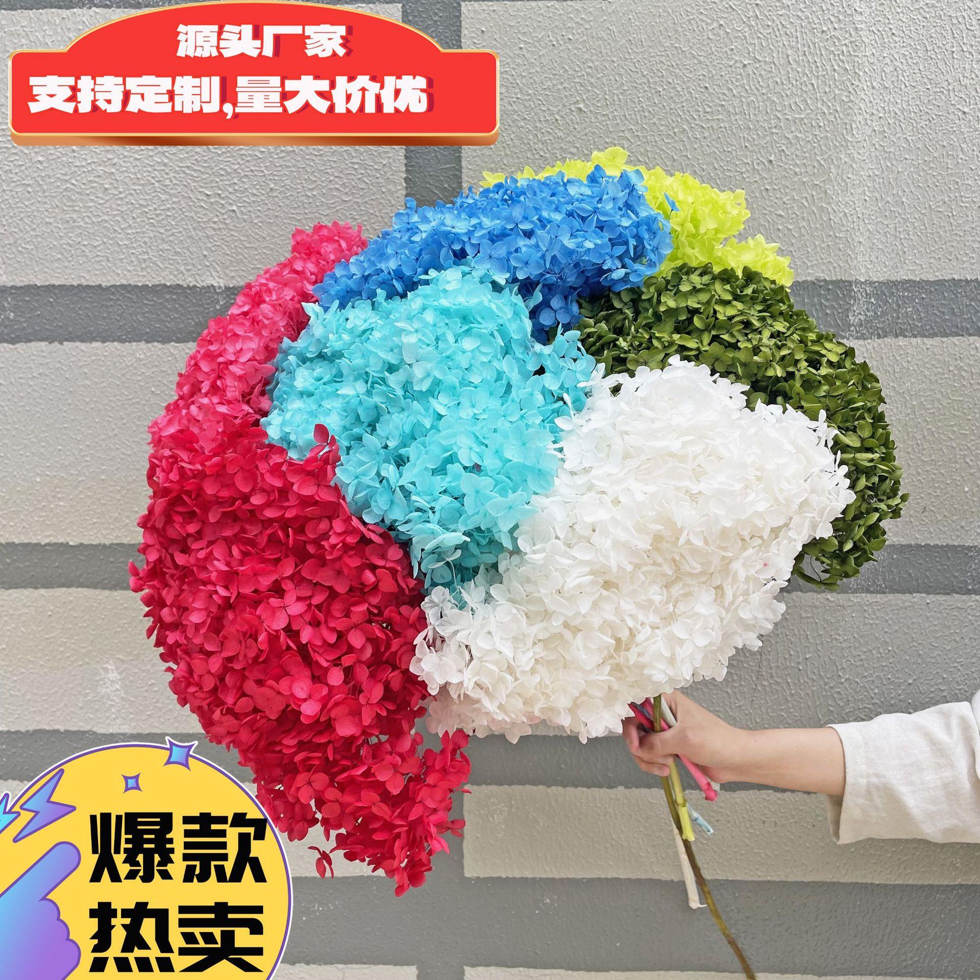 永生花单支安娜绣球安娜小叶绣球安娜贝拉绣球40色现货