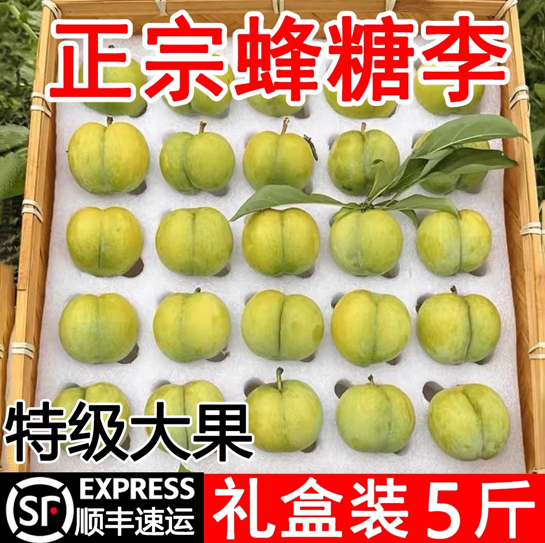 【顺丰包邮】六马蜂糖李顺丰礼盒