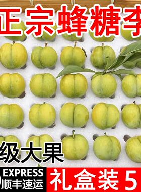 【顺丰包邮】六马蜂糖李顺丰礼盒