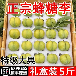 【顺丰包邮】六马蜂糖李顺丰礼盒