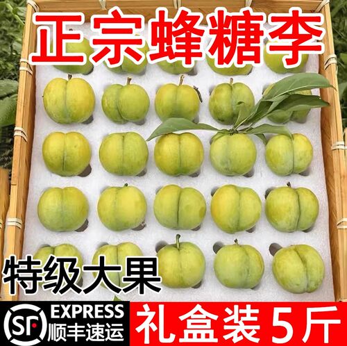 【顺丰包邮】六马蜂糖李顺丰礼盒