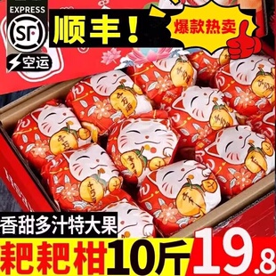正宗四川春见耙耙柑新鲜水果粑粑柑丑八怪蜜橘桔整箱10斤礼盒顺丰