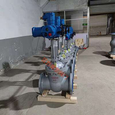 蝶灵铸钢MKZ941H-64CDN250矿用电动闸阀电压AC6600V