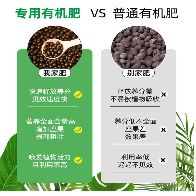 现货速发杨桃树肥料肥营养液杨桃肥桃地栽果树促开花增甜有机肥