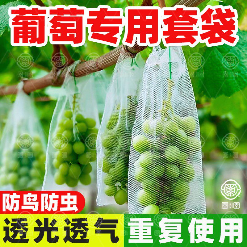 速发葡萄套袋袋子鸟虫防防莓器纱网袋水果草神光玫瑰保护袋套袋