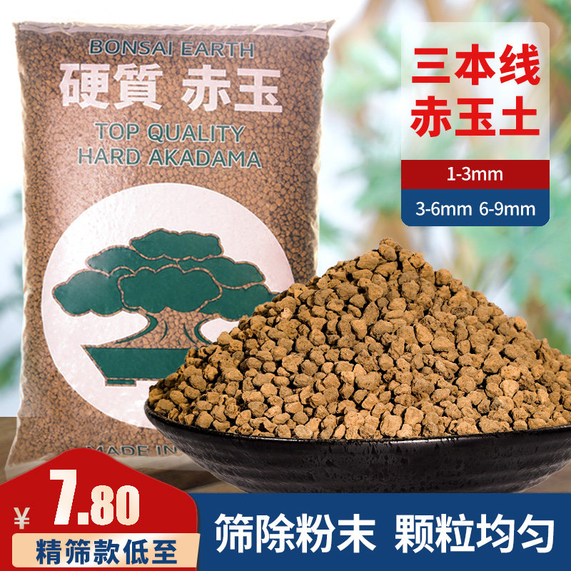 速发三赤线本玉土装质大包硬多肉盆景苔藓爬宠小颗粒