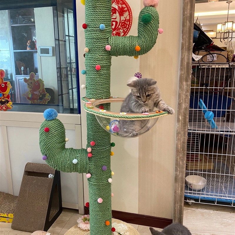 现货速发猫爬架自制材料玩具麻绳瞭望用品柱猫树一体太空仓跳台猫