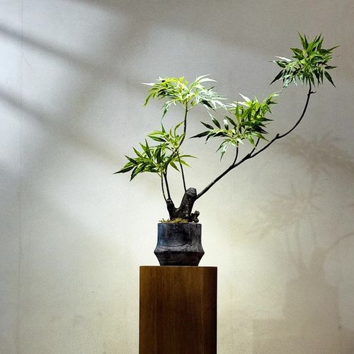 速发十大功轻绿植假花高端劳奢新中式茶室装摆禅意玄关饰件小盆景