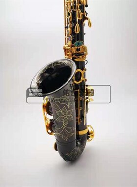 极速l萨卡罗琳 斯克斯管乐器 降E调自中音萨克风/管成人初学者学