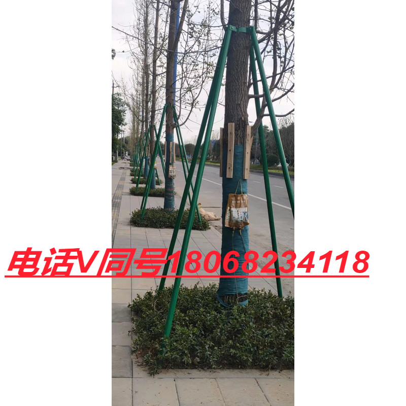 镀锌钢管树木支撑架树木支撑杆大树防风树支撑园林绿化支架固定器