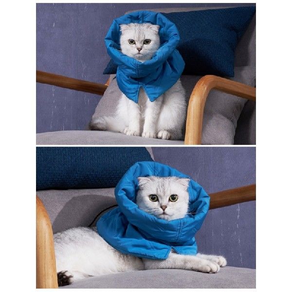 Pet Collar AntiBite Surgery AntiLick Wound Healing Protect