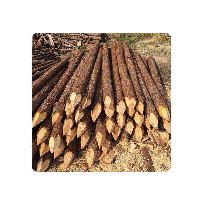 原木打桩木工地河堤杉木桩护坡整治木桩厂家直销打桩木